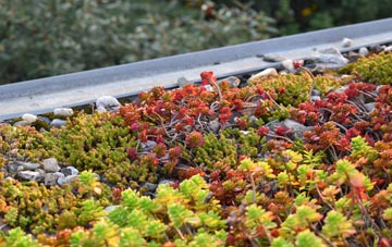the cost of Tressady green roof installation