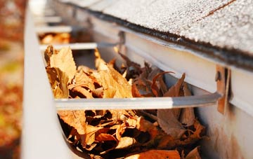 Tressady gutter cleaning companies