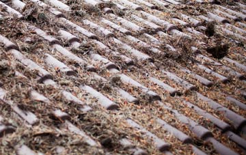 Tressady roof cleaning companies